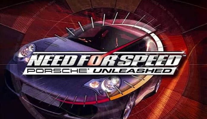 Need for Speed Porsche Unleashed v3.5